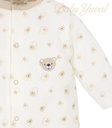 PSIMG:1693:10980:T