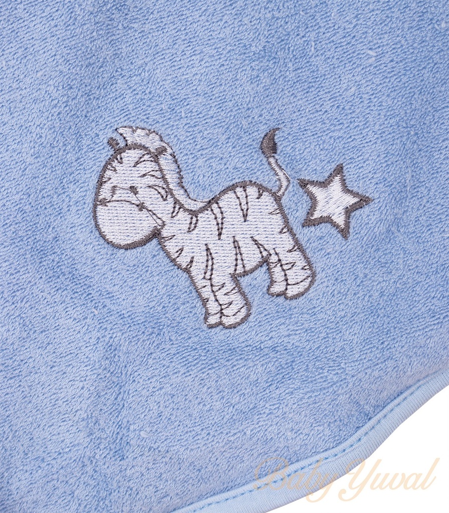 PSIMG:2123:12184:T