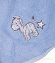 PSIMG:2123:12184:T