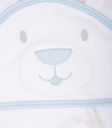 PSIMG:2793:13876:T