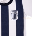PSIMG:3522:13594:T