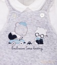 PSIMG:3930:14101:T