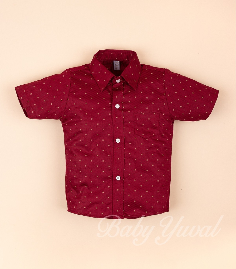 [CA0100466] Camisa Manga Corta | Vino (T2)