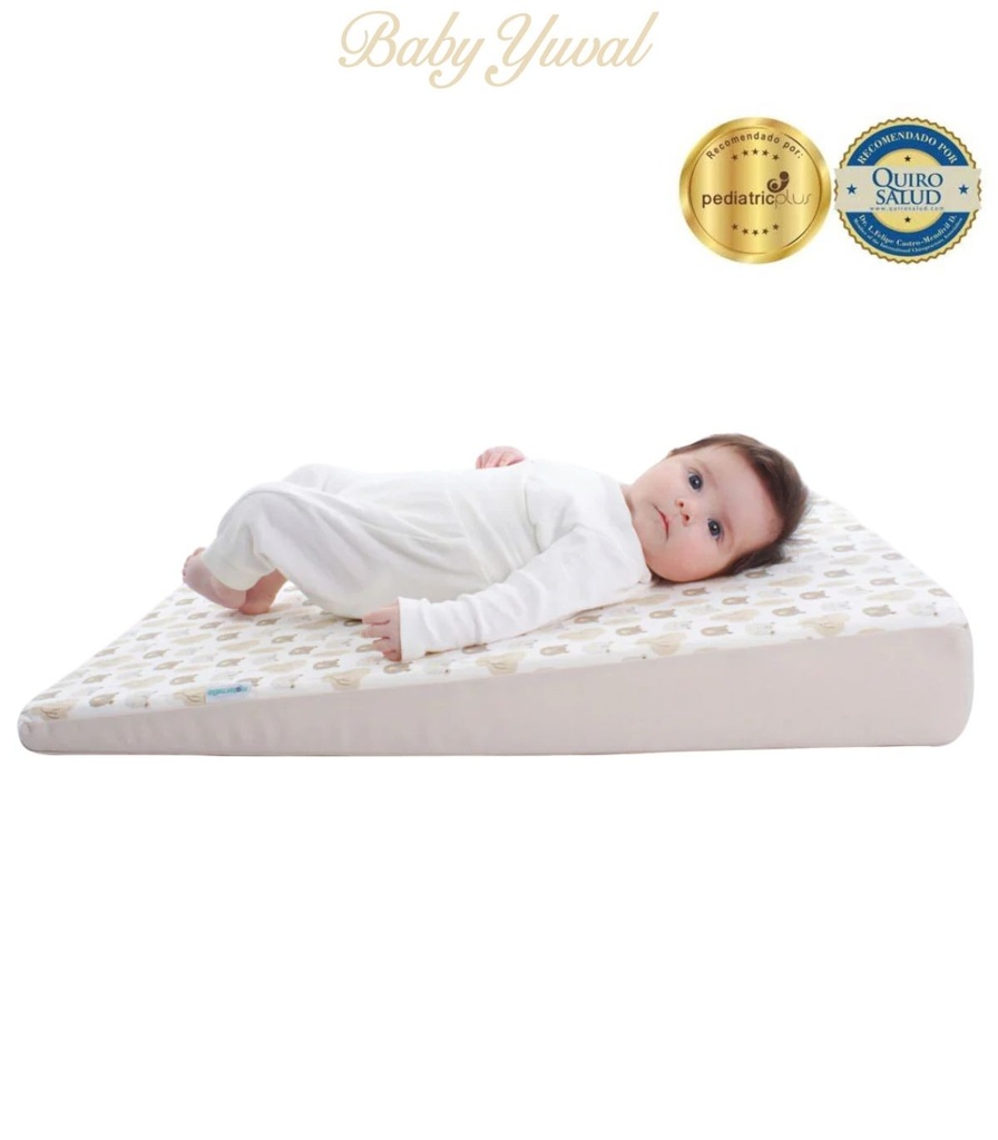 [CO0203863] Cojín Antireflujo | Beige Ositos